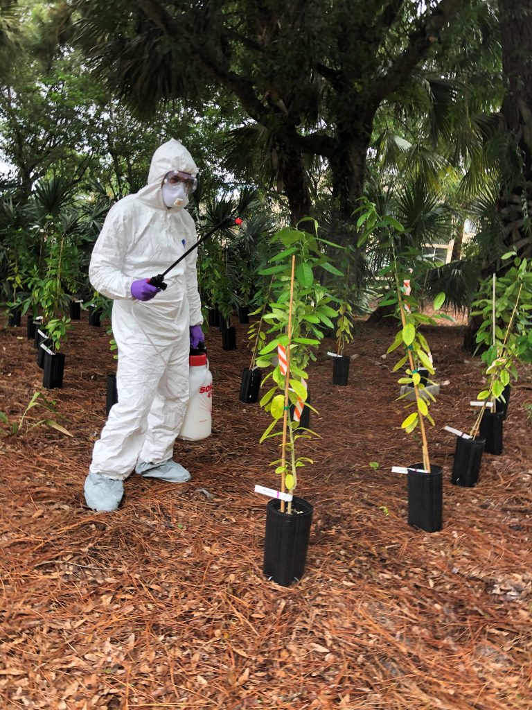 Dr. Avery spraying citron trees at Heathcote Garden Center