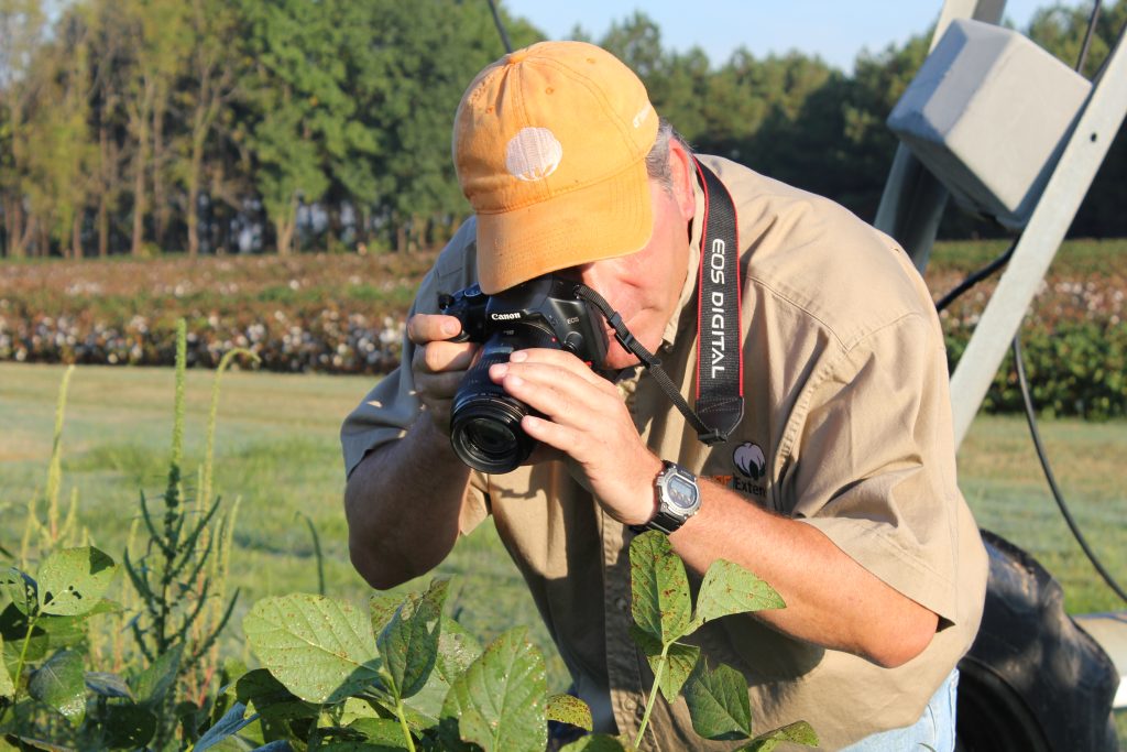 Scott Stewart takes photos in a cotton field using a DSLR camera